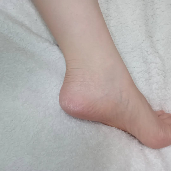 画像5331