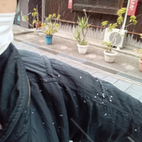 画像5378