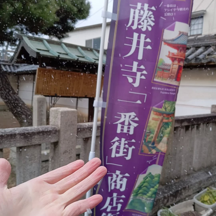 画像5490