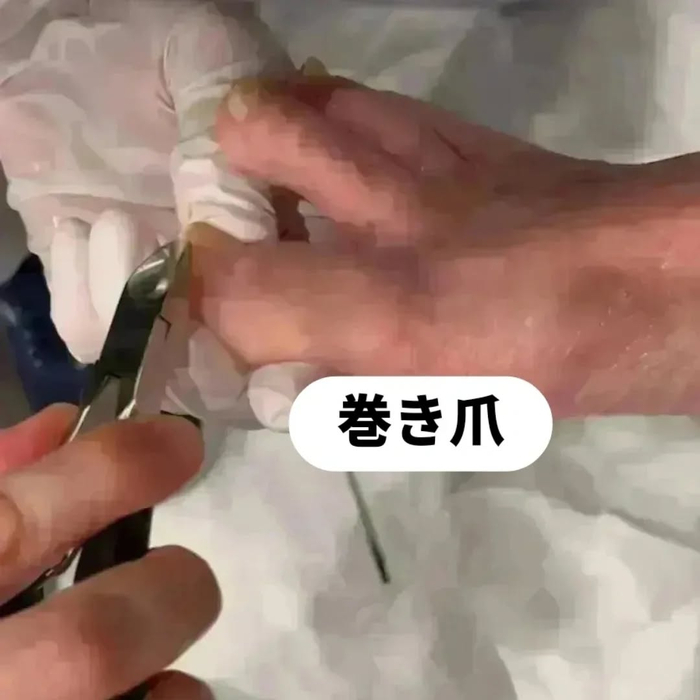 画像5532