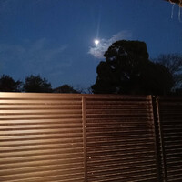 画像5582
