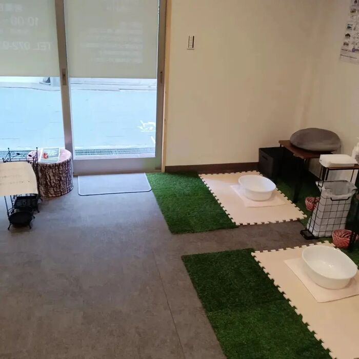 画像568
