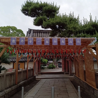 画像5698