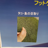 画像5834