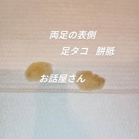 画像5857