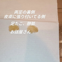 画像5858