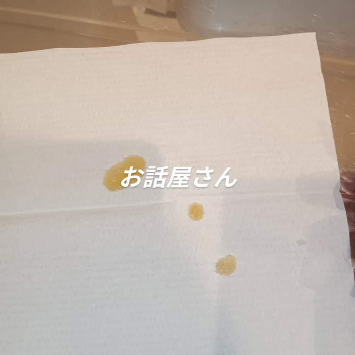 画像5877