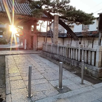 画像5883
