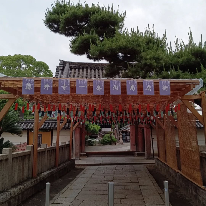 画像5903
