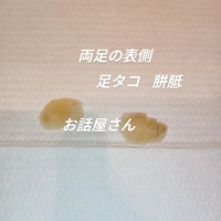 画像5925