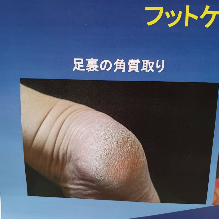 画像5955