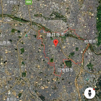 画像6146