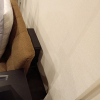 画像6239