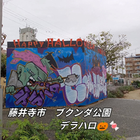 画像6245