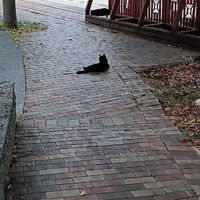 画像625