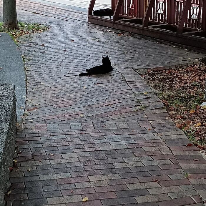 画像625