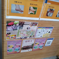 画像6252
