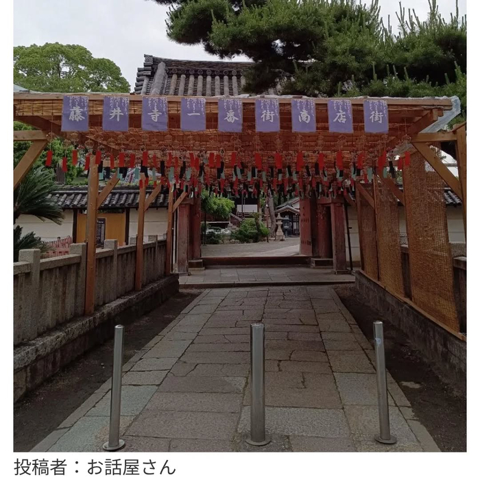 画像6282