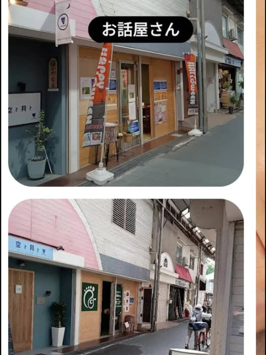 画像6291