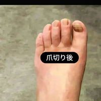 画像6336