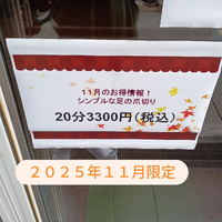画像6366