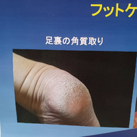 画像6375