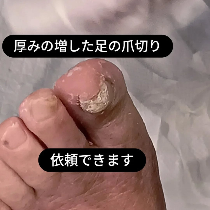 画像6400