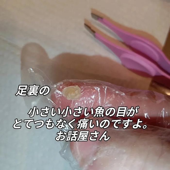 画像6403