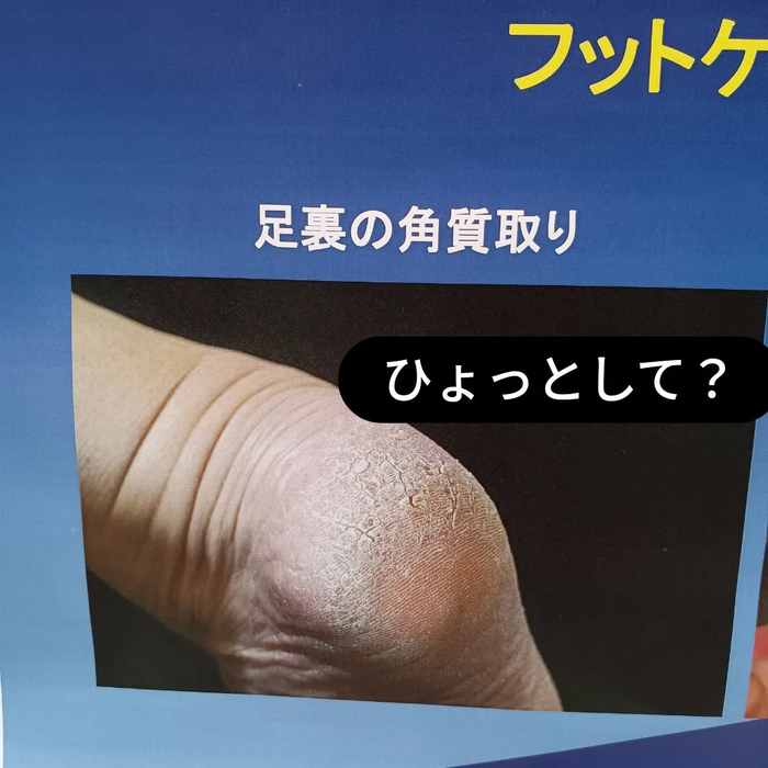 画像6430
