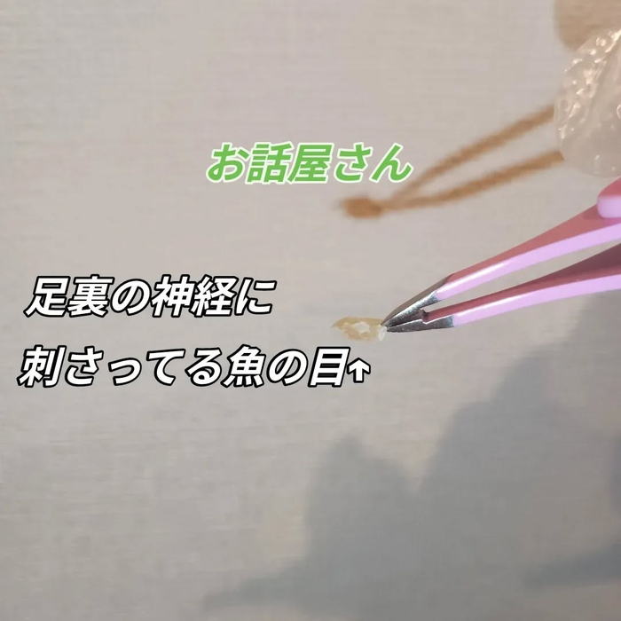 画像6448