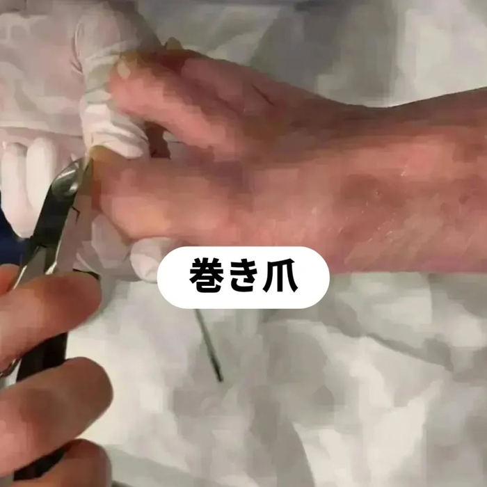 画像6484