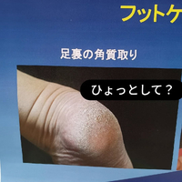 画像6499