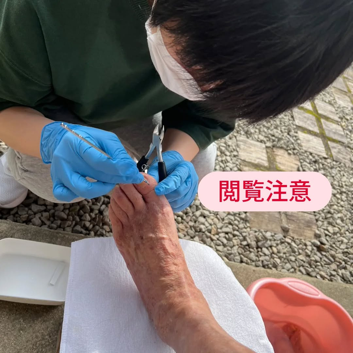 画像6526