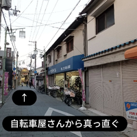 画像6542