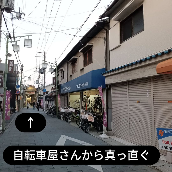 画像6542