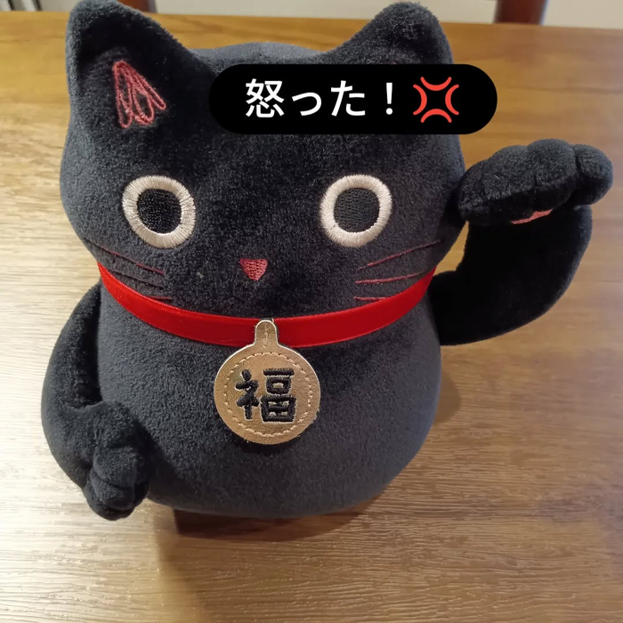 画像6554