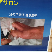 画像6571