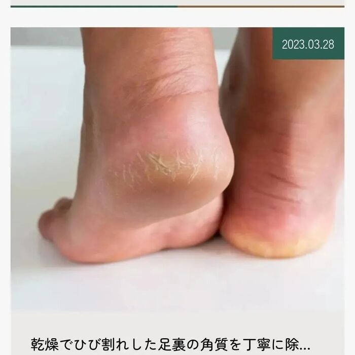 画像661