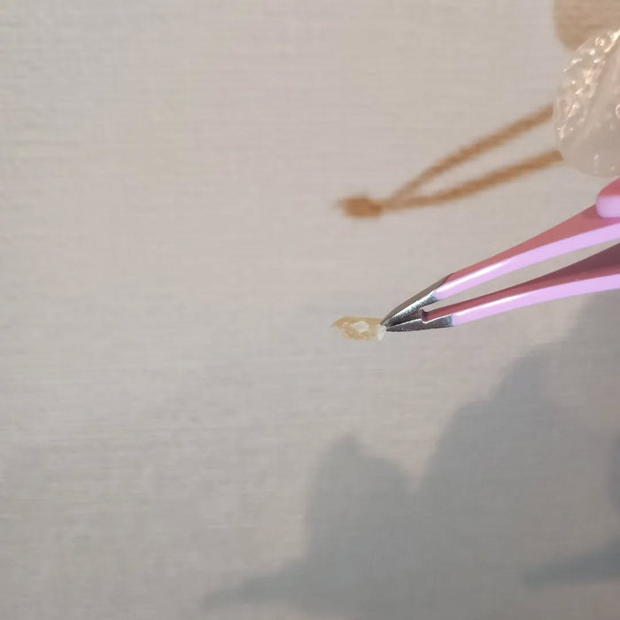 画像6610