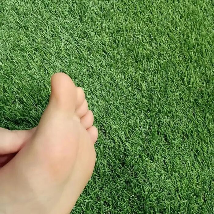 画像663