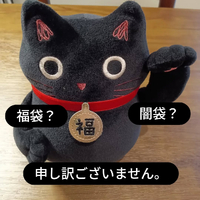 画像6639