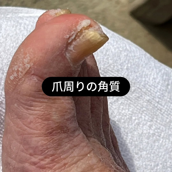 画像6656