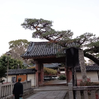 画像6723