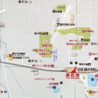 画像6731
