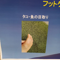 画像6792