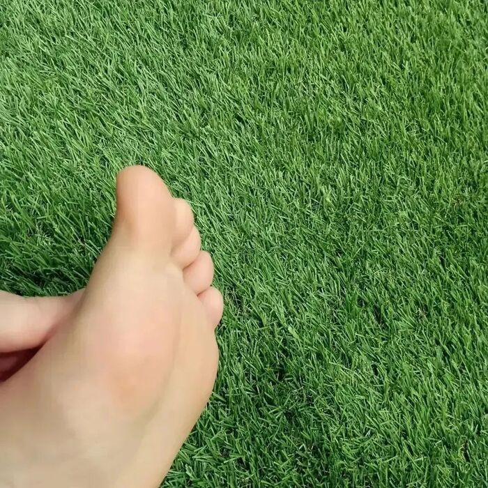 画像691