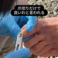 画像6912