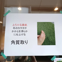画像6948