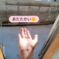 画像7006