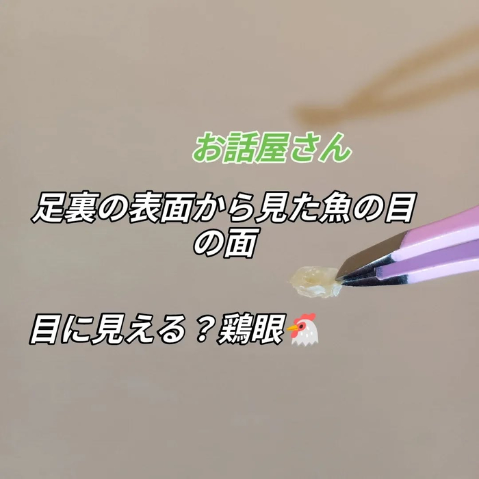 画像7036